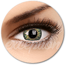 GamaTruBlends ofera o larga paleta de culori care formeaza nuante deosebite. Aceste lentile de contact verzi sunt pentru stilul tau activ.